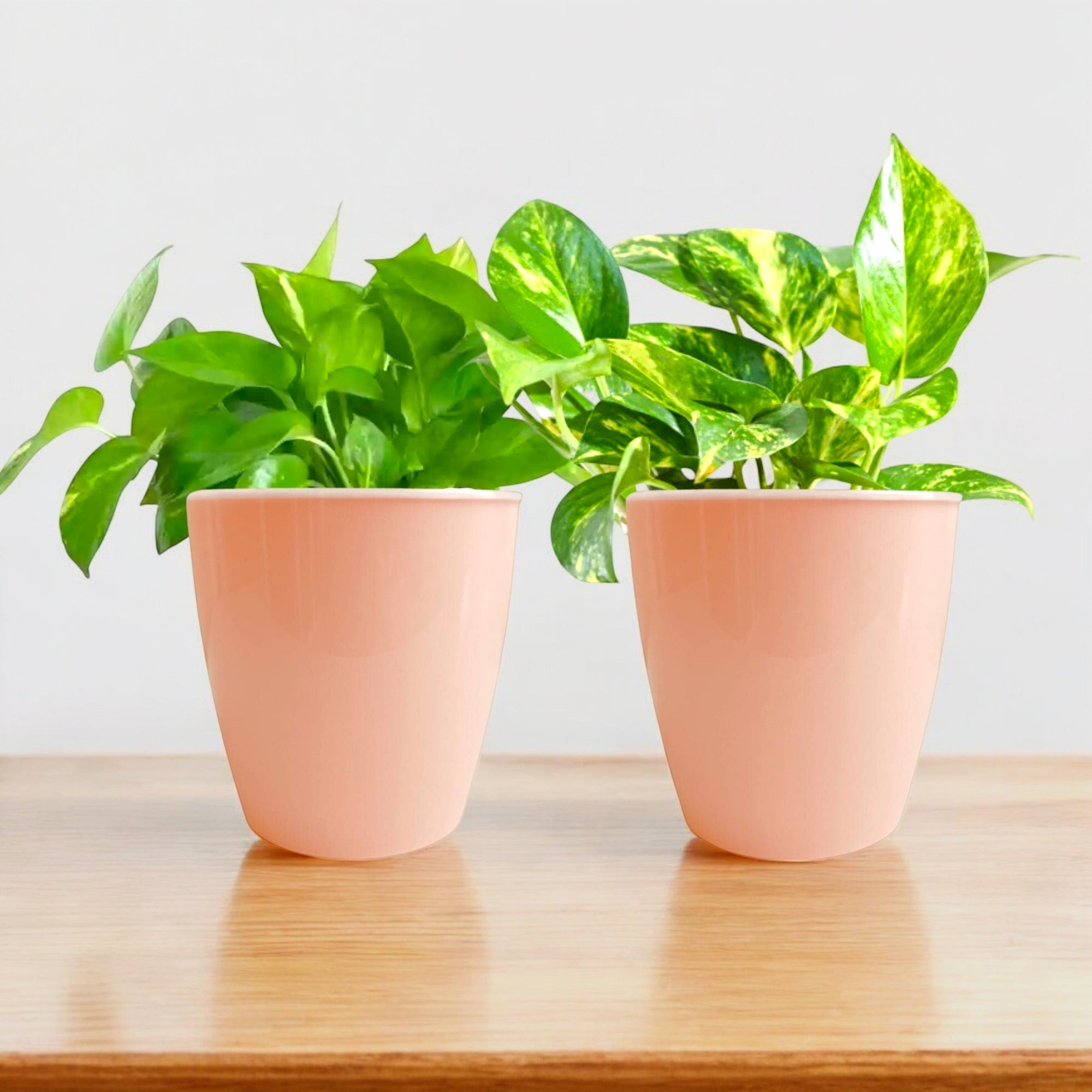 Elegant Peach Self-Watering Vistara Planter-2PC