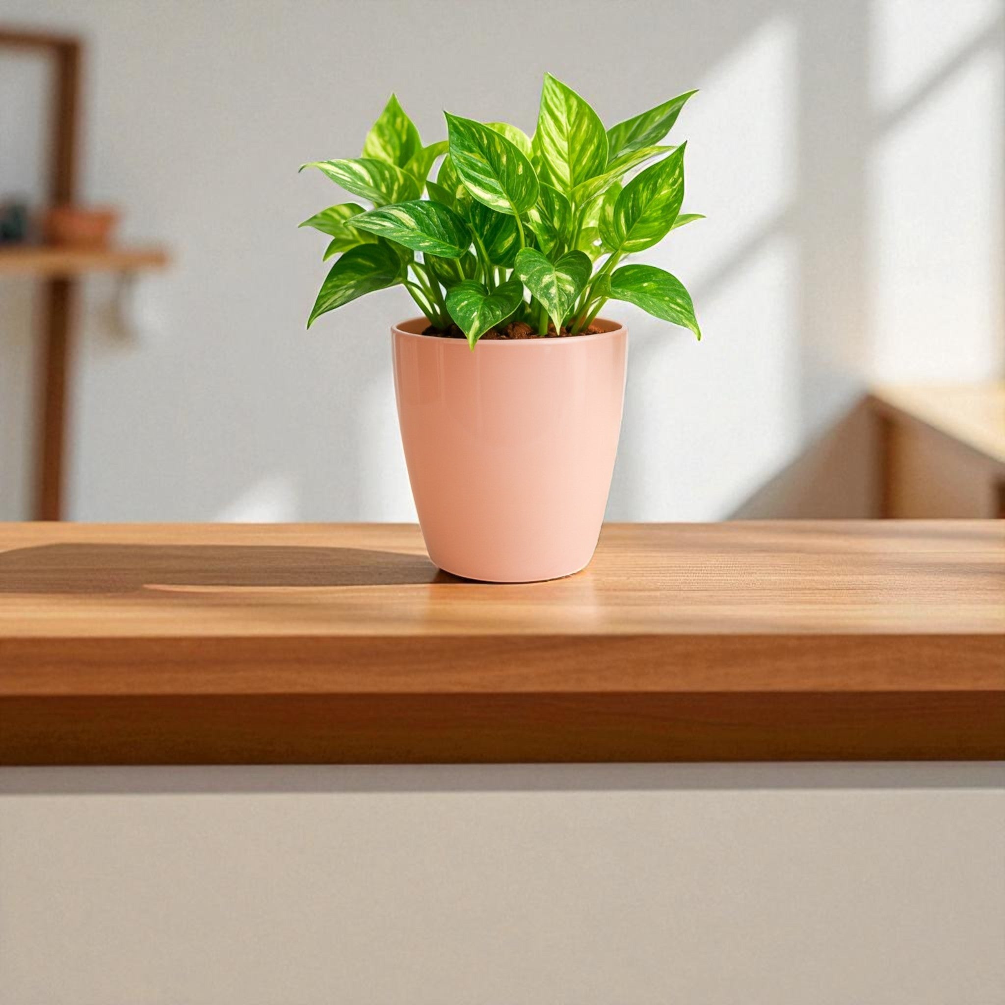 Elegant Peach Self-Watering Vistara Planter-2PC
