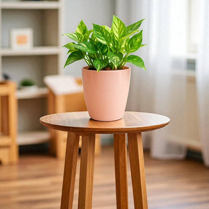 Elegant Peach Self-Watering Vistara Planter-2PC