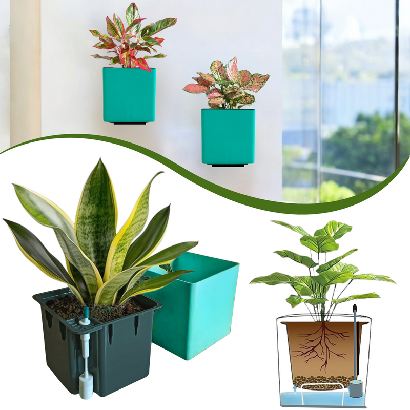 Elegant Peacock Green Self-Watering Wall Hanging Square Planter