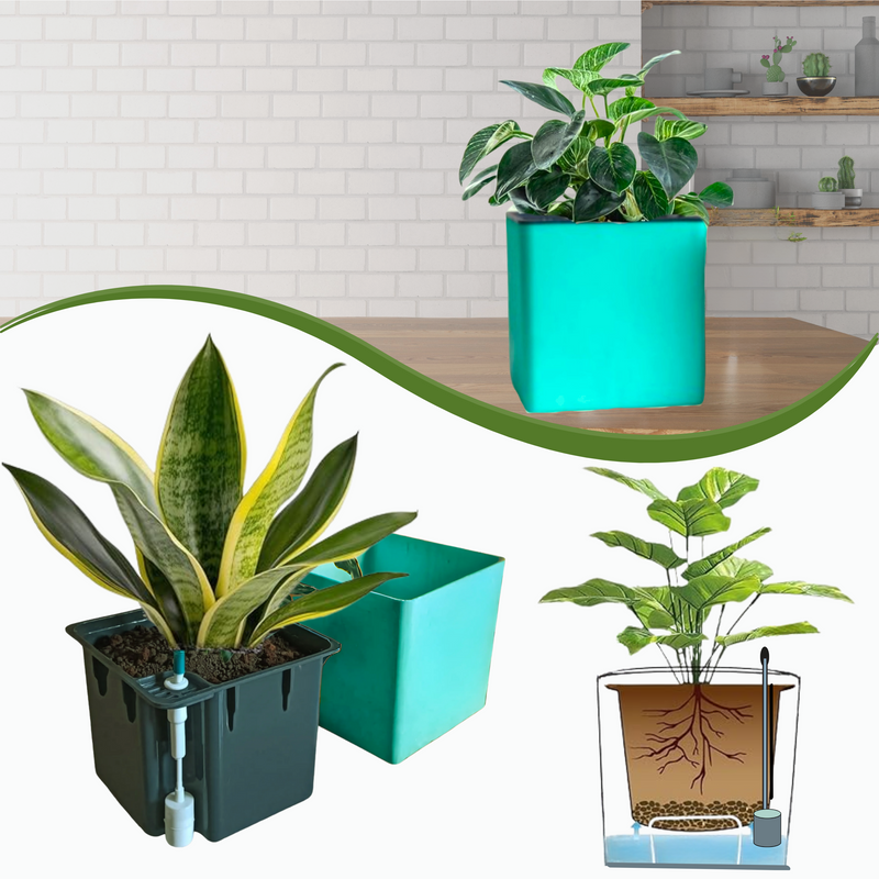 Elegant Peacock Green Self-Watering Square Planter