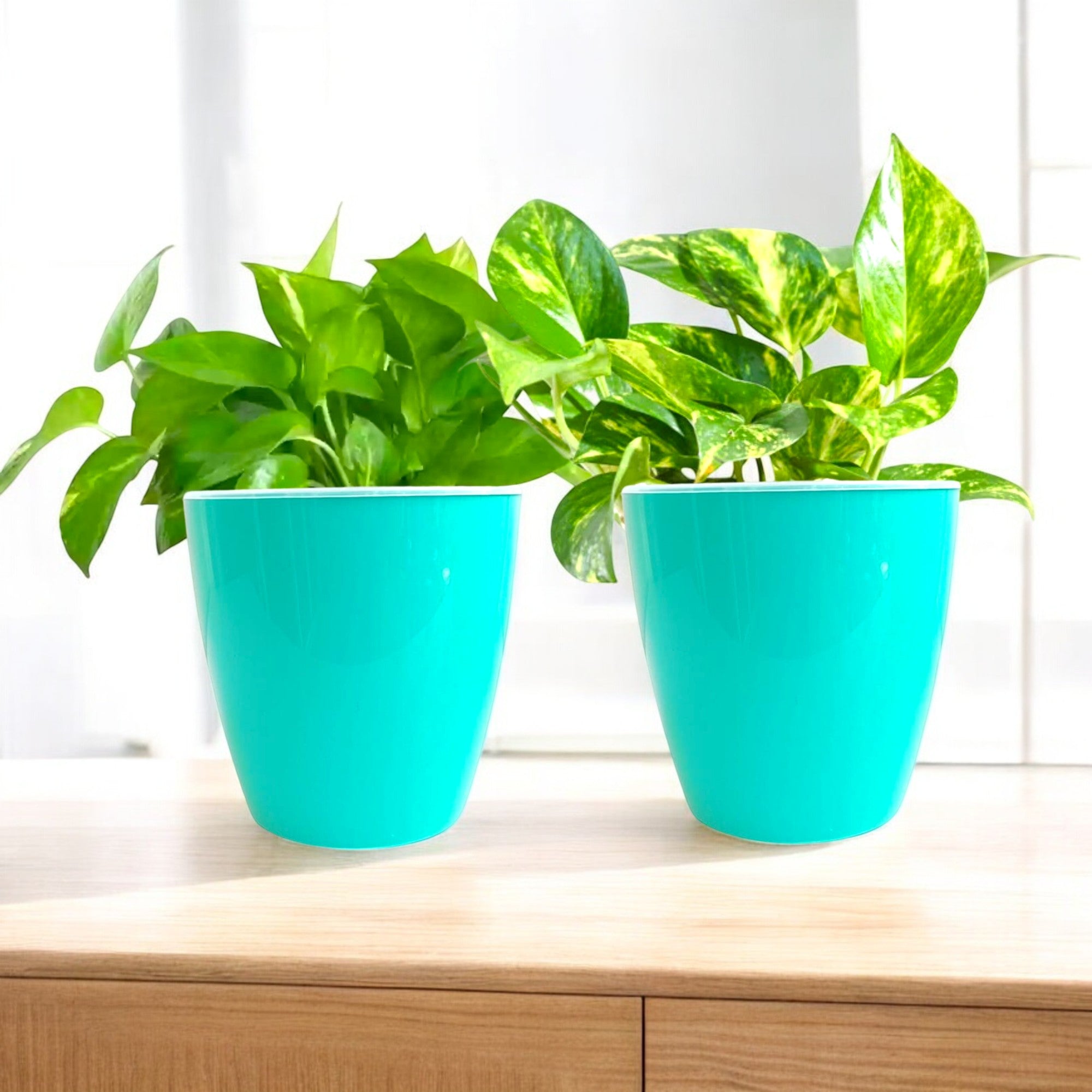Elegant Peacock Green Self-Watering Vistara Planter-2PC