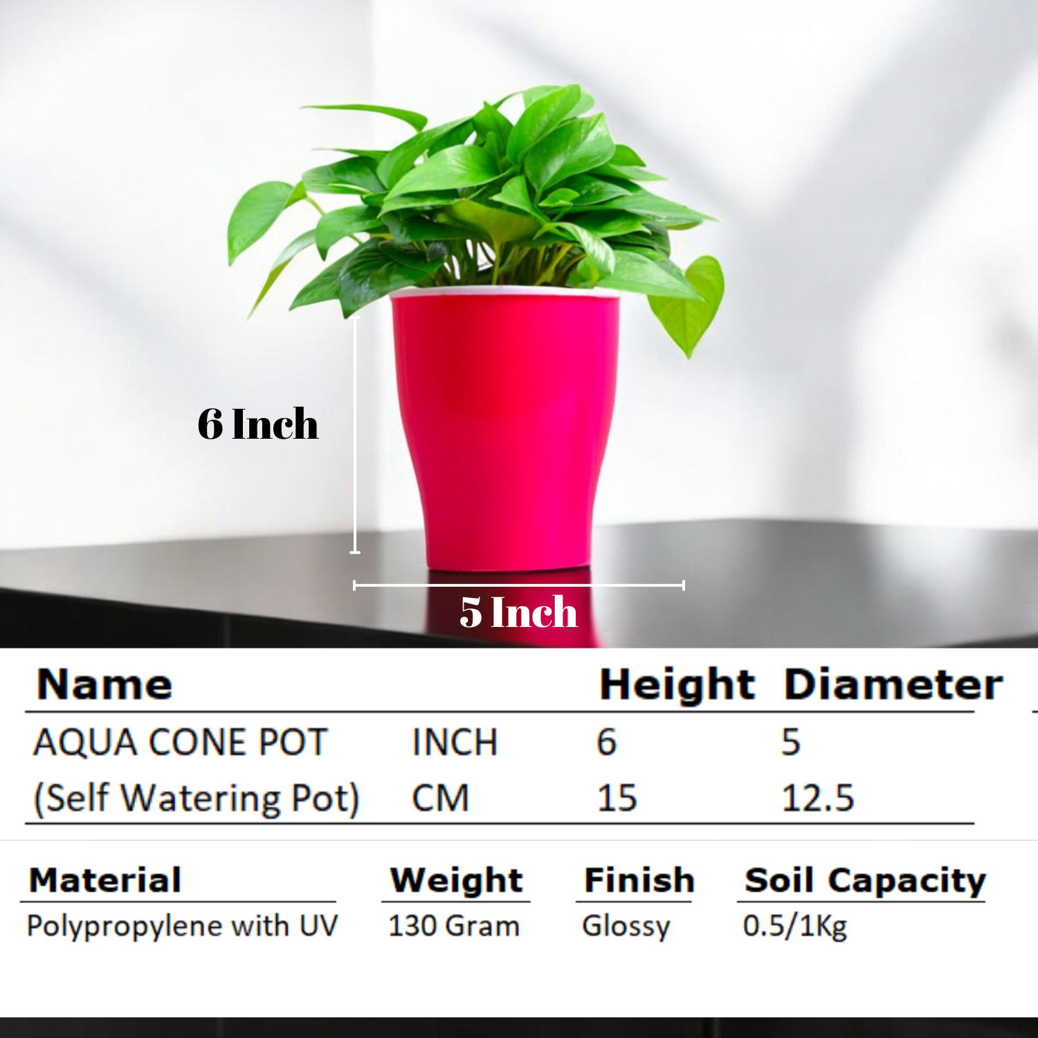 Elegant Pink Self-Watering Cone Planter-2PC