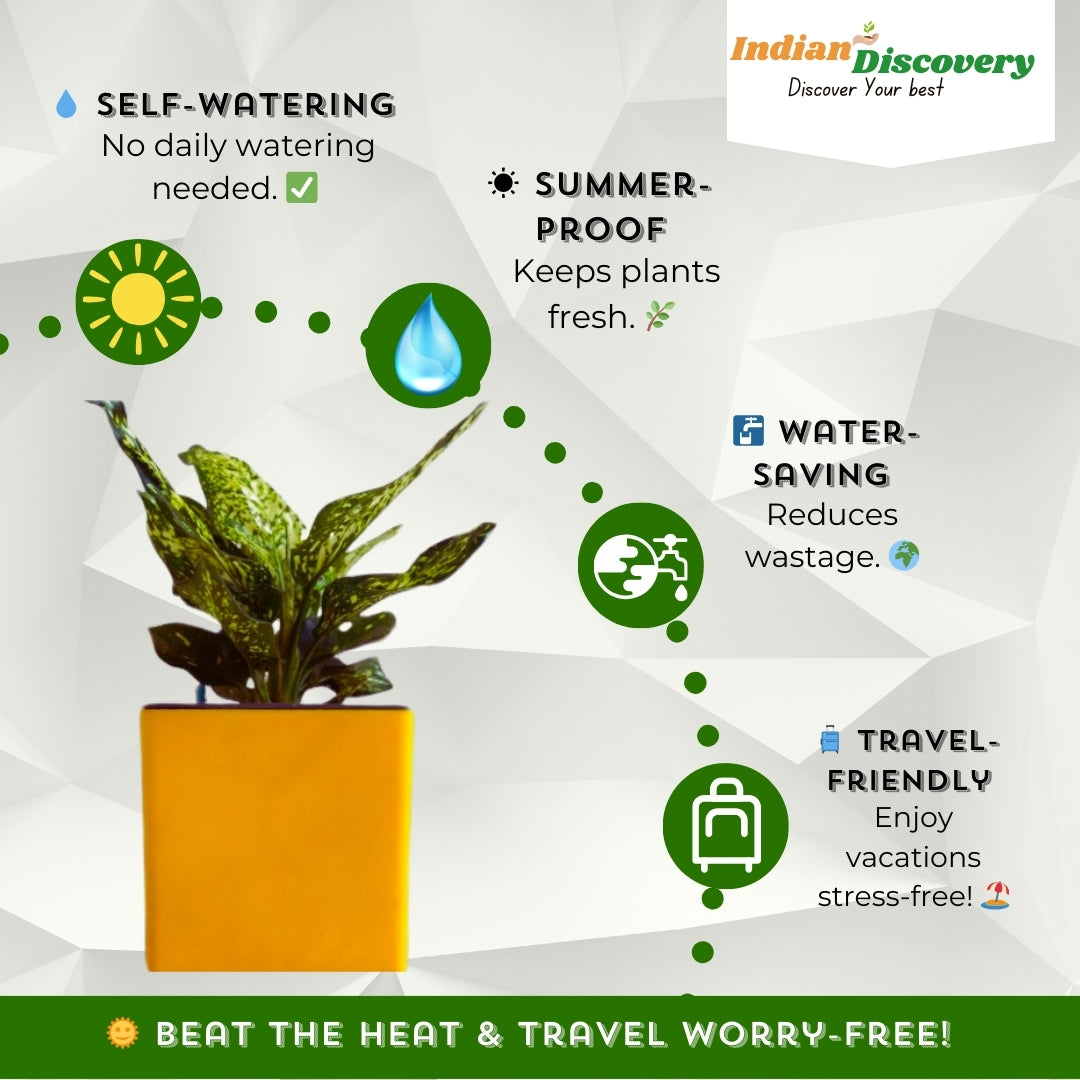 Indian Discovery Self-Watering Wall Hanging Planters (1 Pcs, Yellow, Square) | UV-Resistant Hanging Pots with Stand | Plastic Planters for Balcony, Living Room, Home Décor & Gardening