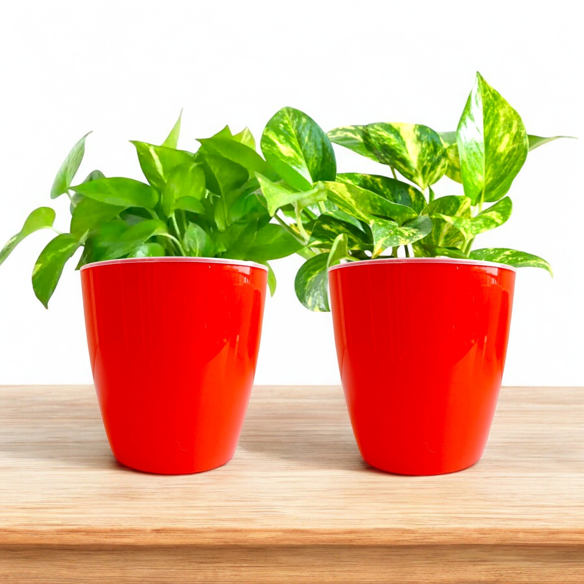 Elegant Red Self-Watering Vistara Planter-2PC