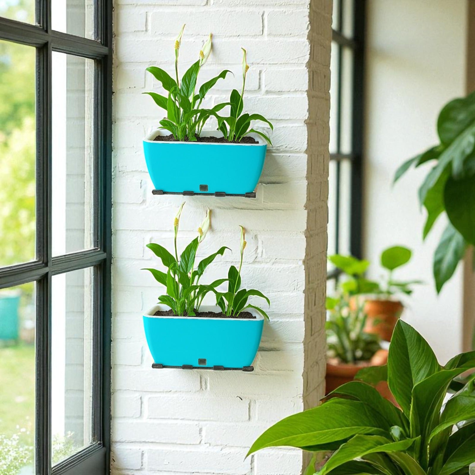 Rectangular Self-Watering Wall Planter - Sea Green