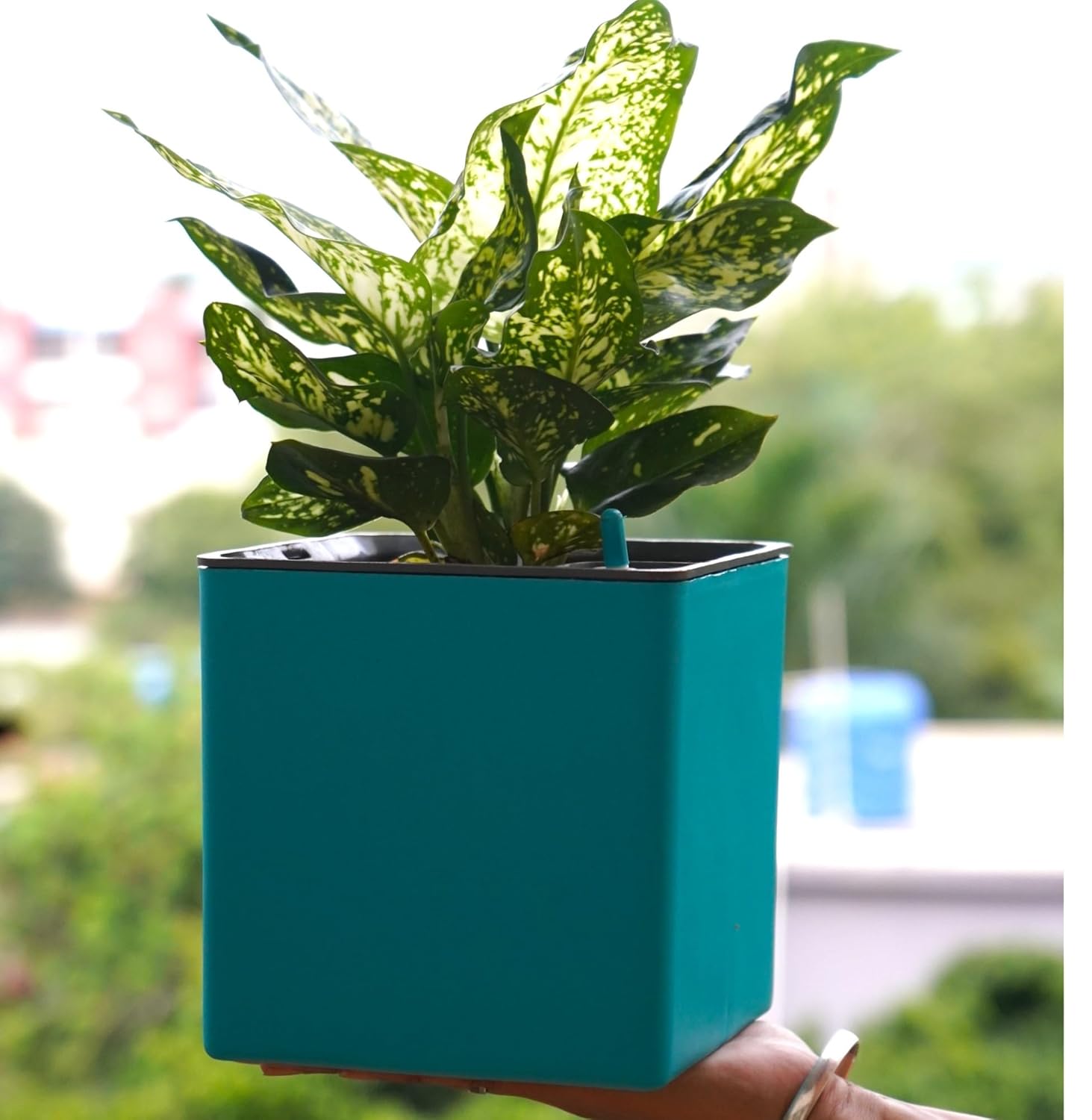 Elegant Multi-Color Self-Watering Square Planter - 7 PC