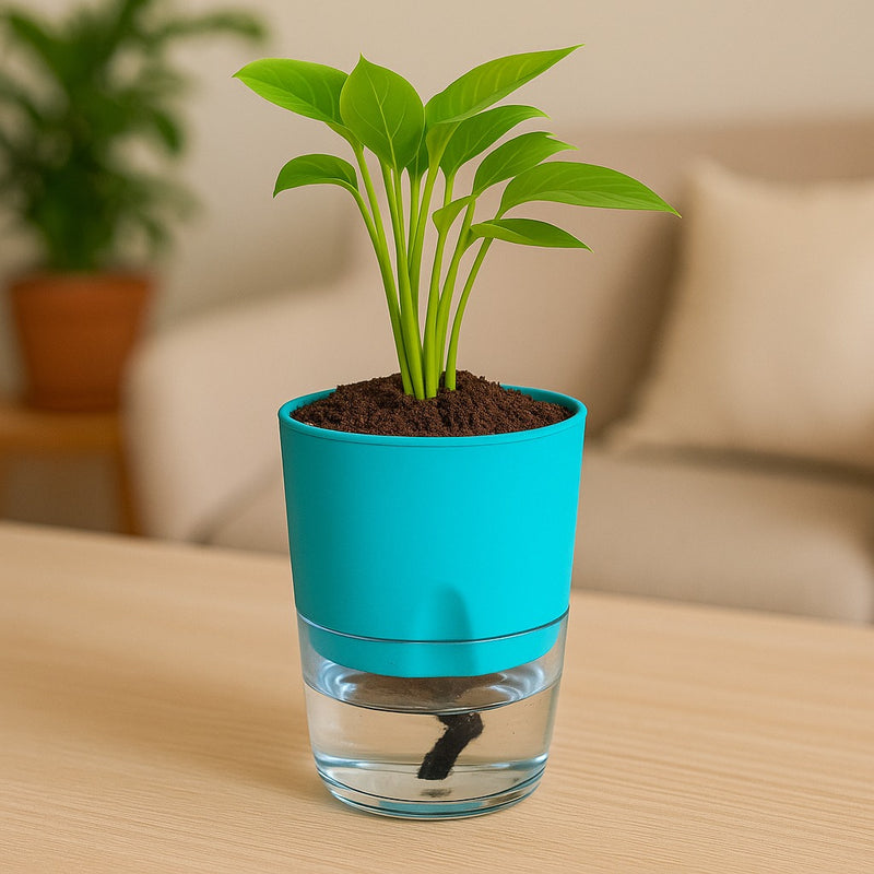 Soft Curve Sea Green Self-Watering Small Planter - 4 PC