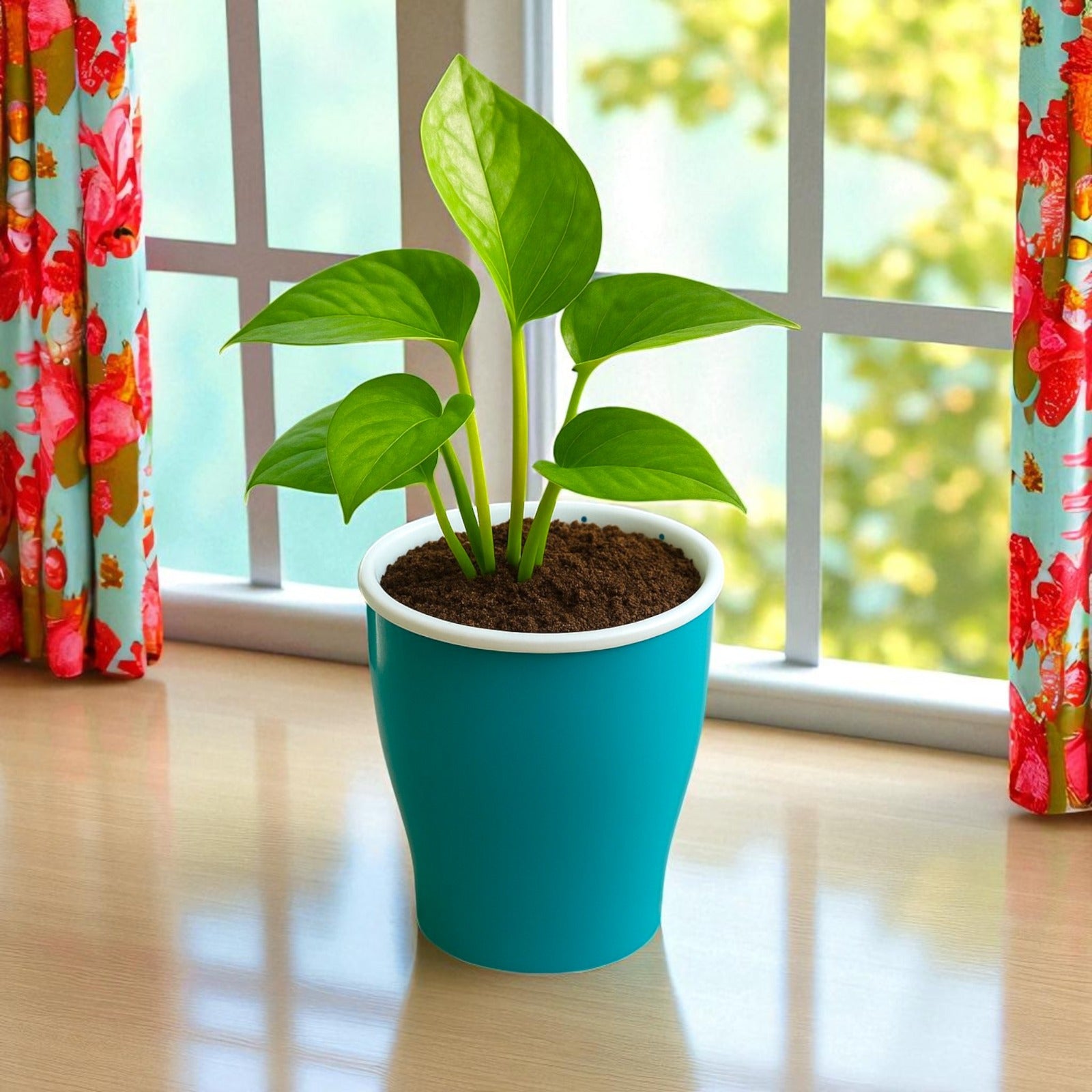Elegant Sea Green Self-Watering Cone Planter-2PC