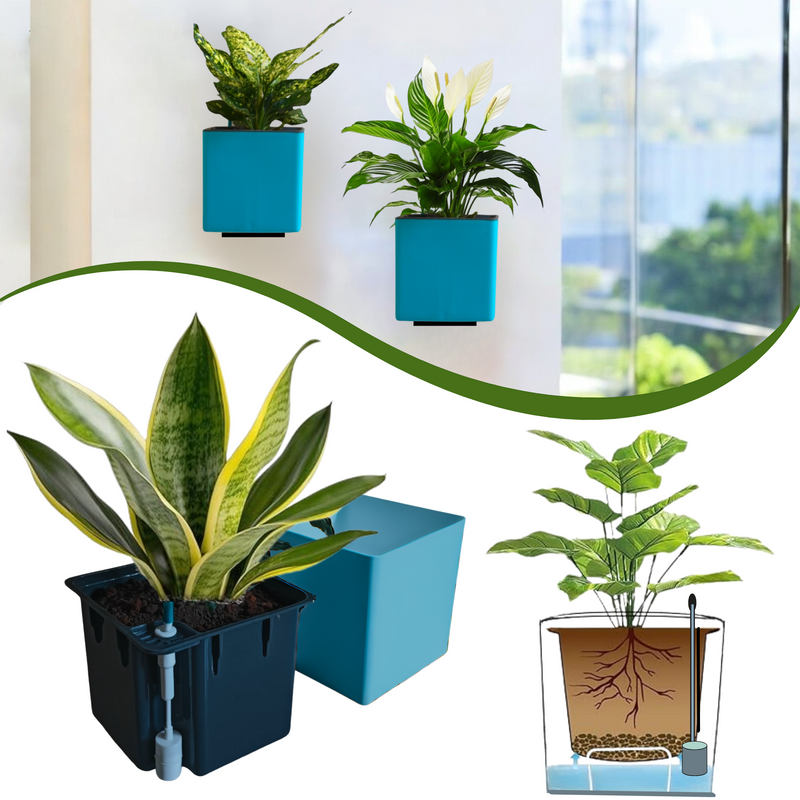 Elegant Sea Green Self-Watering Wall Hanging Square Planter