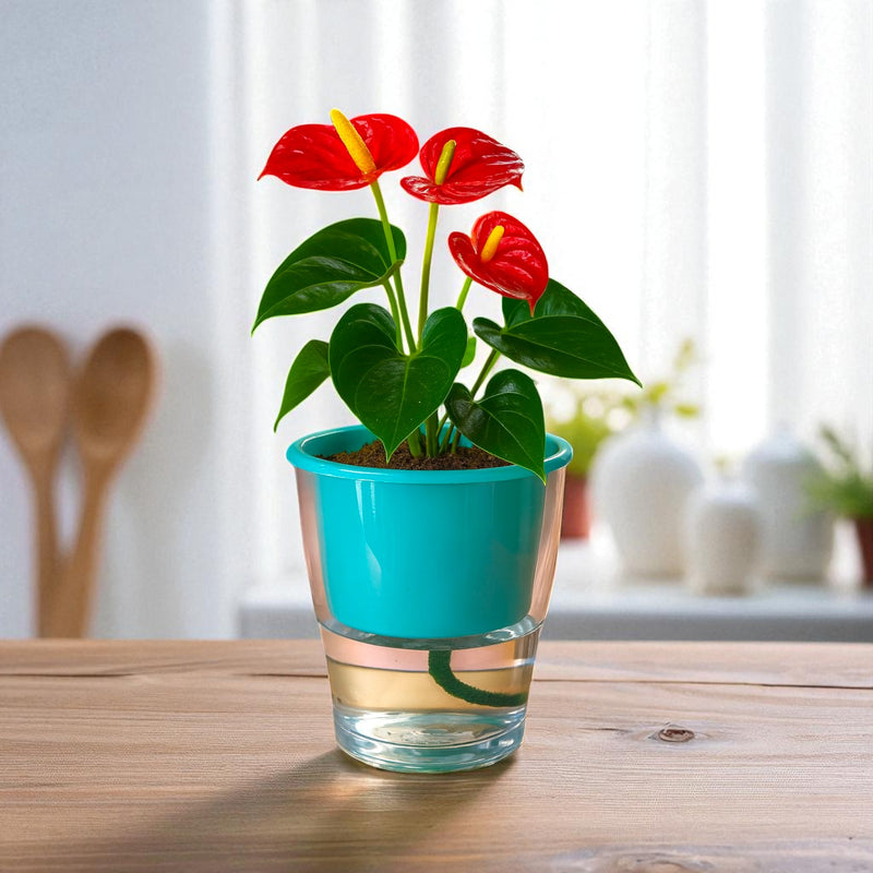 Elegant Sea Green Self-Watering Clear Planter-2PC