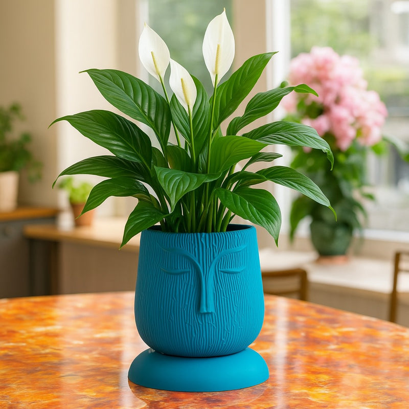 Artistic Sea Green Self Watering Face Craft Planter - 1PC