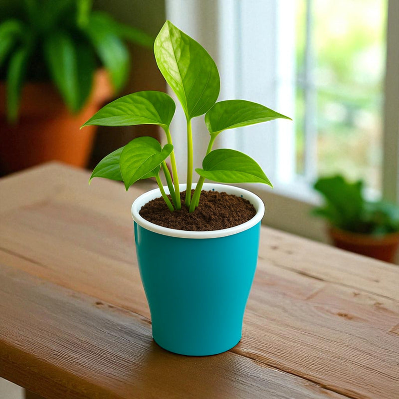 Elegant Sea Green Self-Watering Cone Planter-2PC