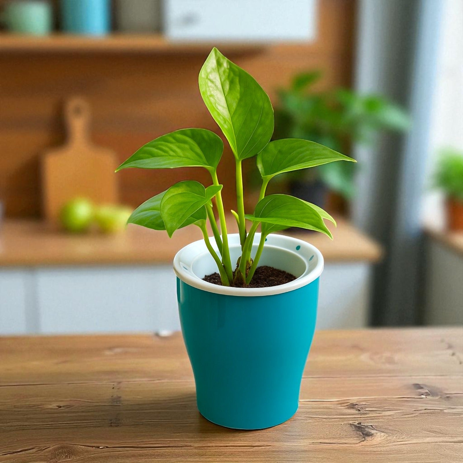 Elegant Sea Green Self-Watering Cone Planter-2PC
