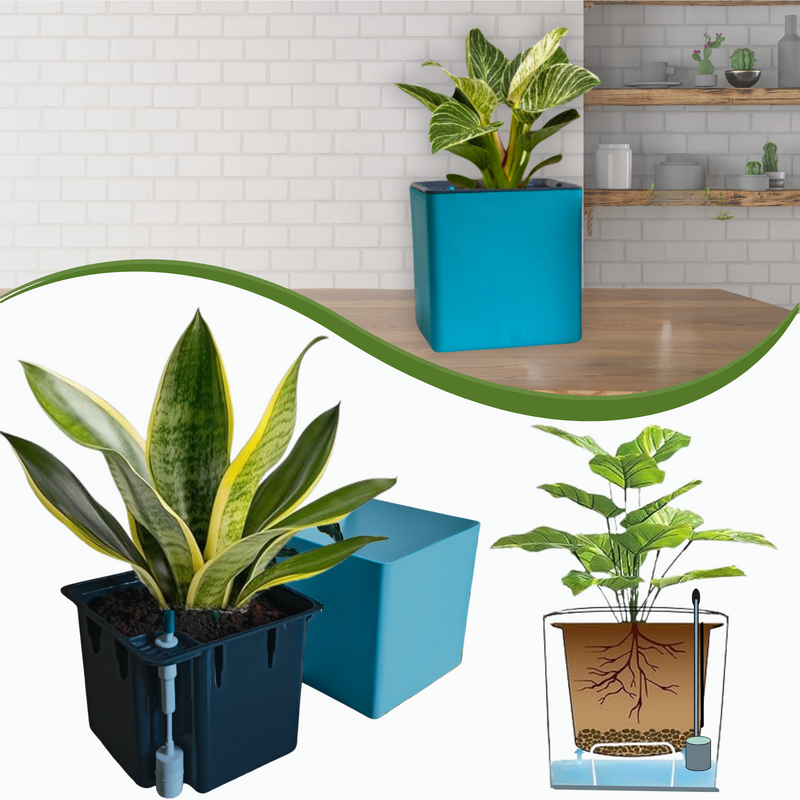 Elegant Sea Green Self-Watering Square Planter