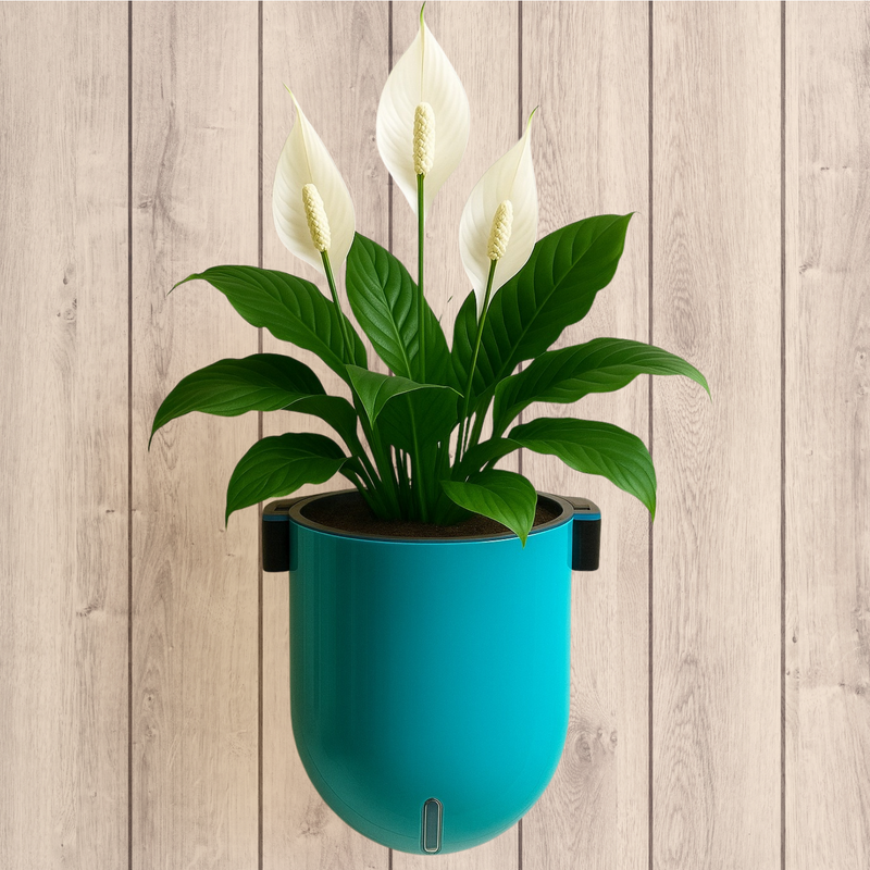 Elegant Sea Green Self-Watering Wall Hanging Sphere Planter