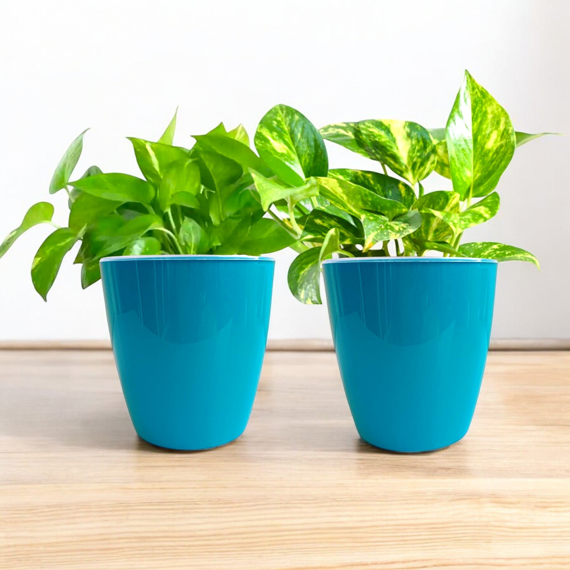Elegant Sea Green Self-Watering Vistara Planter-2PC