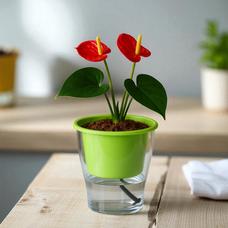 Elegant Parrot Green Self-Watering Clear Planter-2PC