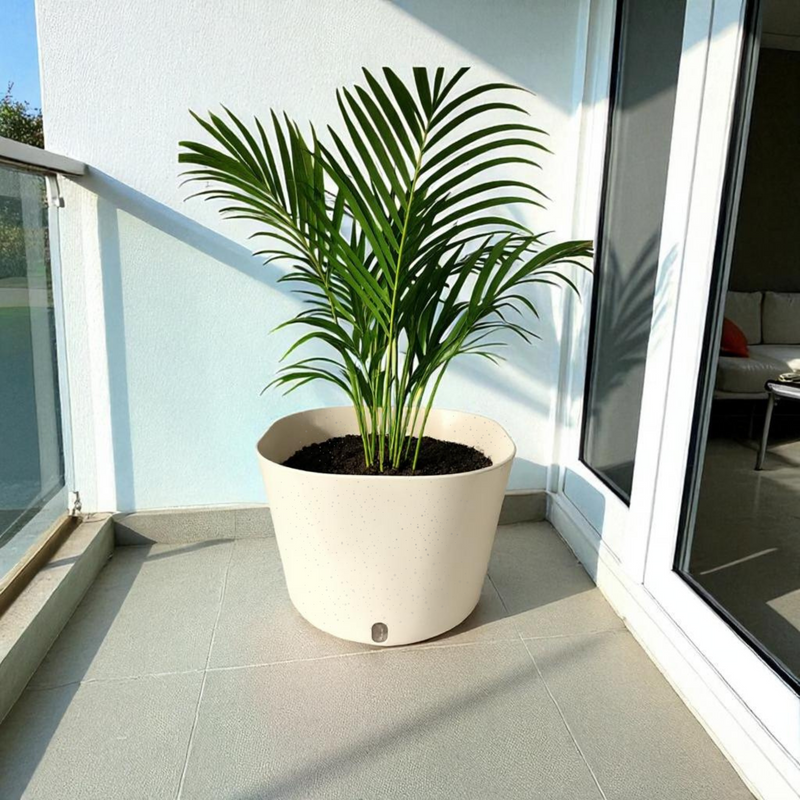 Big Cube Self-Watering Plant Container