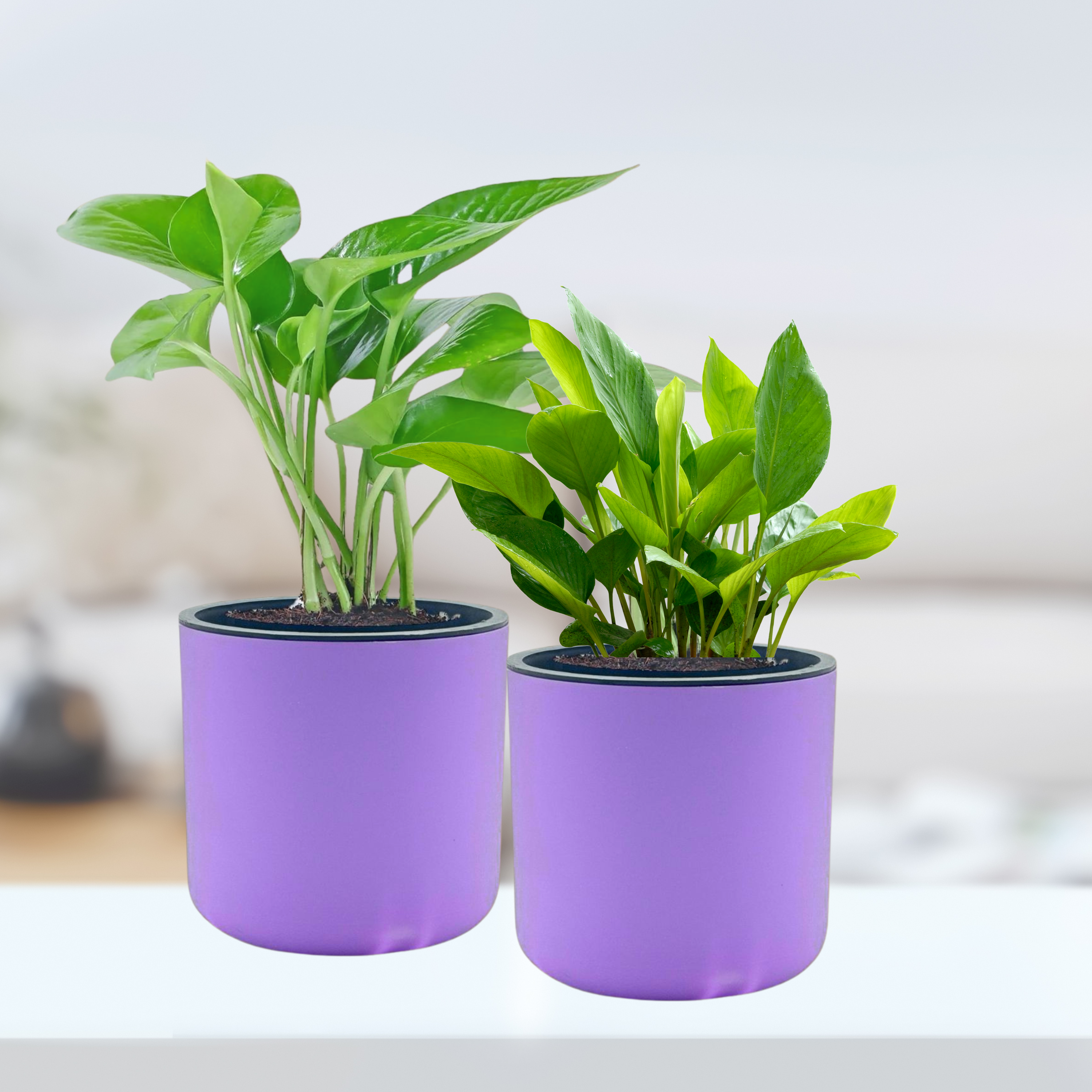 Classic Violet Self-Watering Round Planter