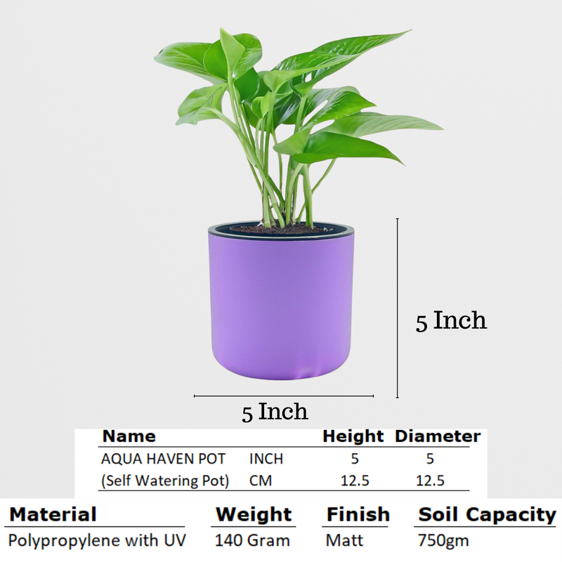 Classic Violet Self-Watering Round Planter