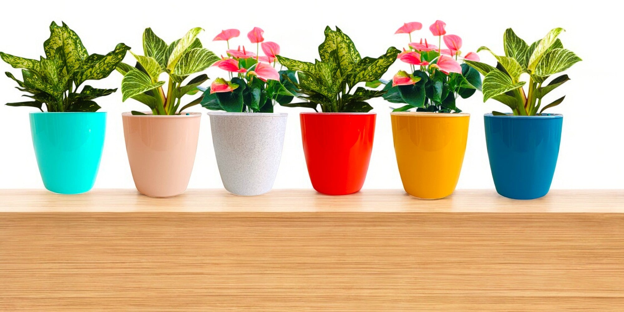 Elegant Multi-Color Self-Watering Vistara Planter-6PC