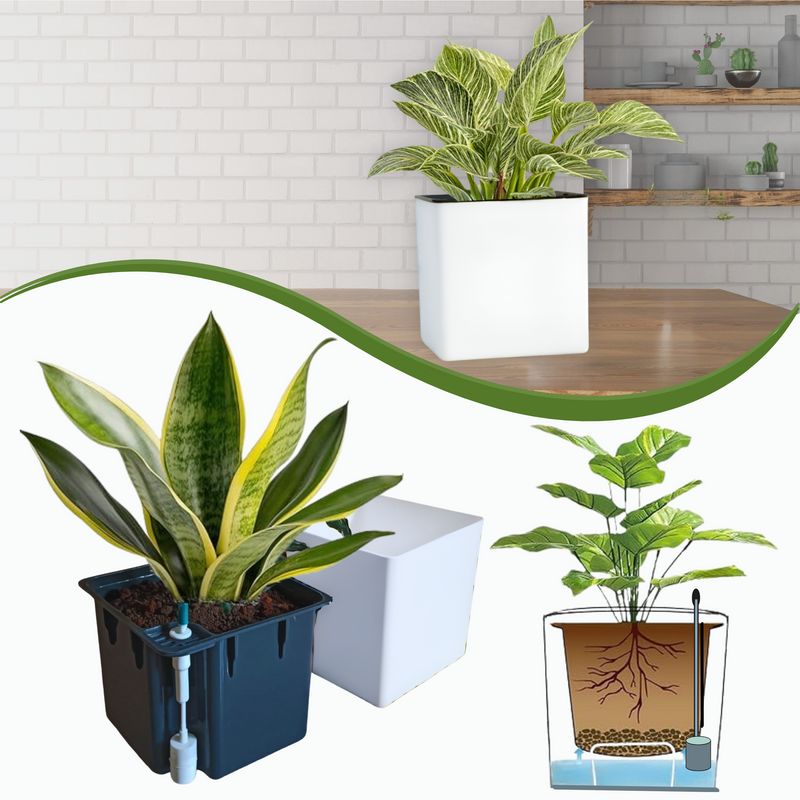 Elegant White Self-Watering Square Planter