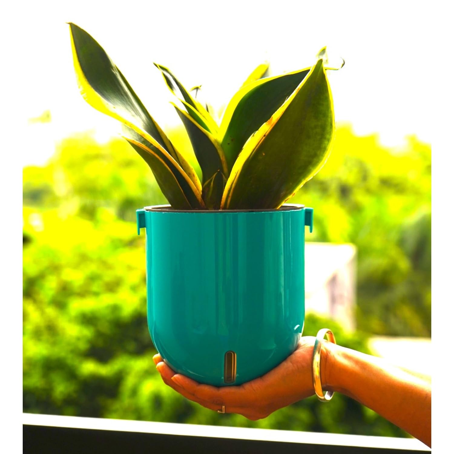 Elegant Sea Green Self-Watering Wall Hanging Sphere Planter