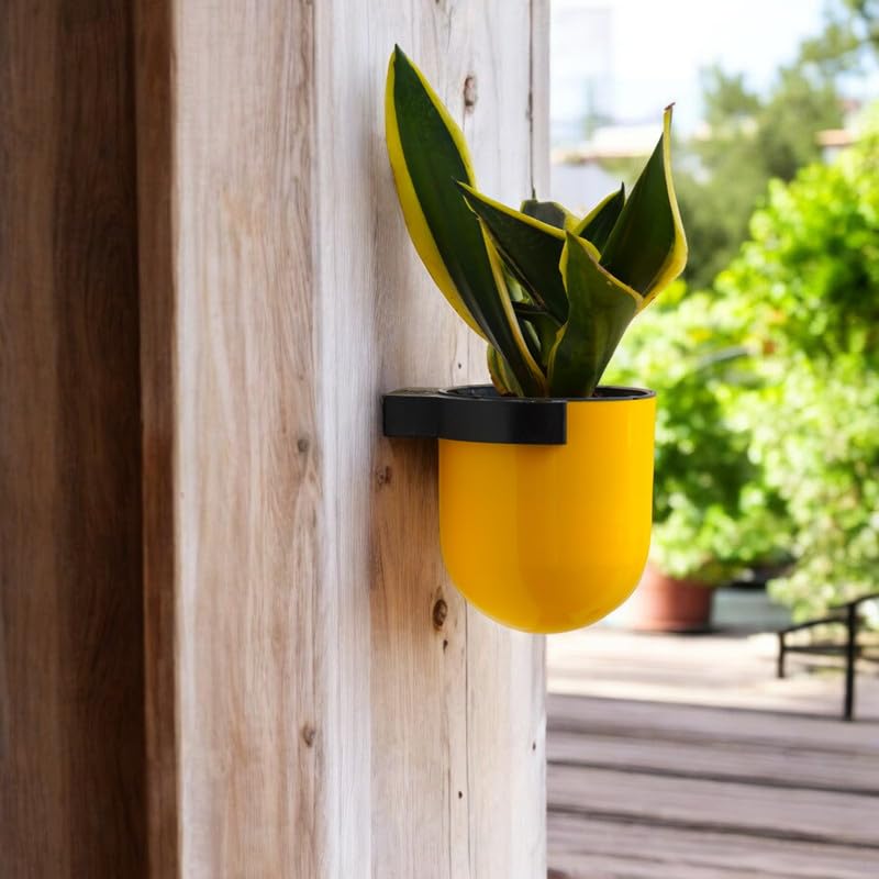 Elegant Yellow Self-Watering Wall Hanging Sphere Planter