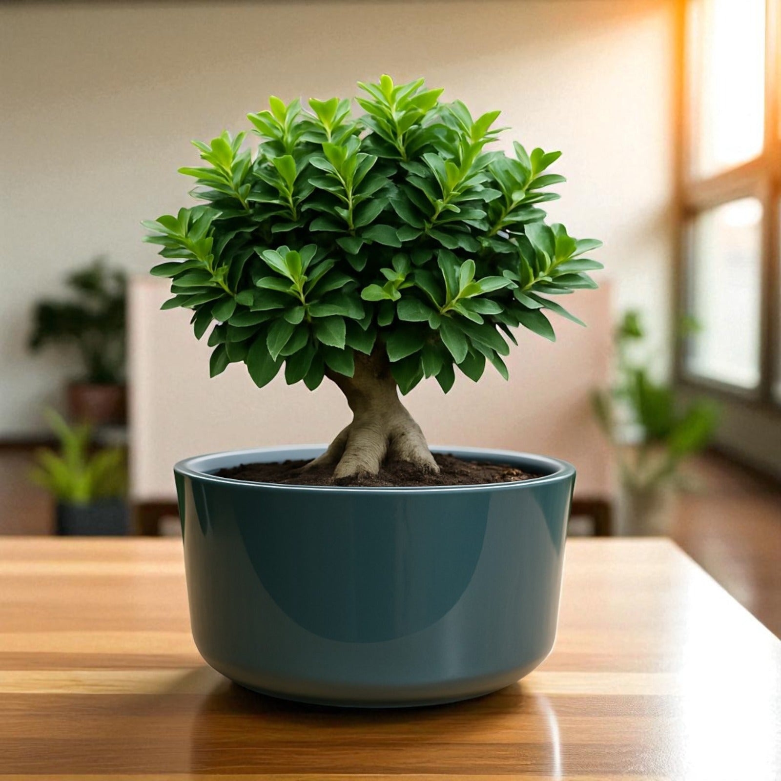 Big Circular Self-Watering Plant Container – Gray