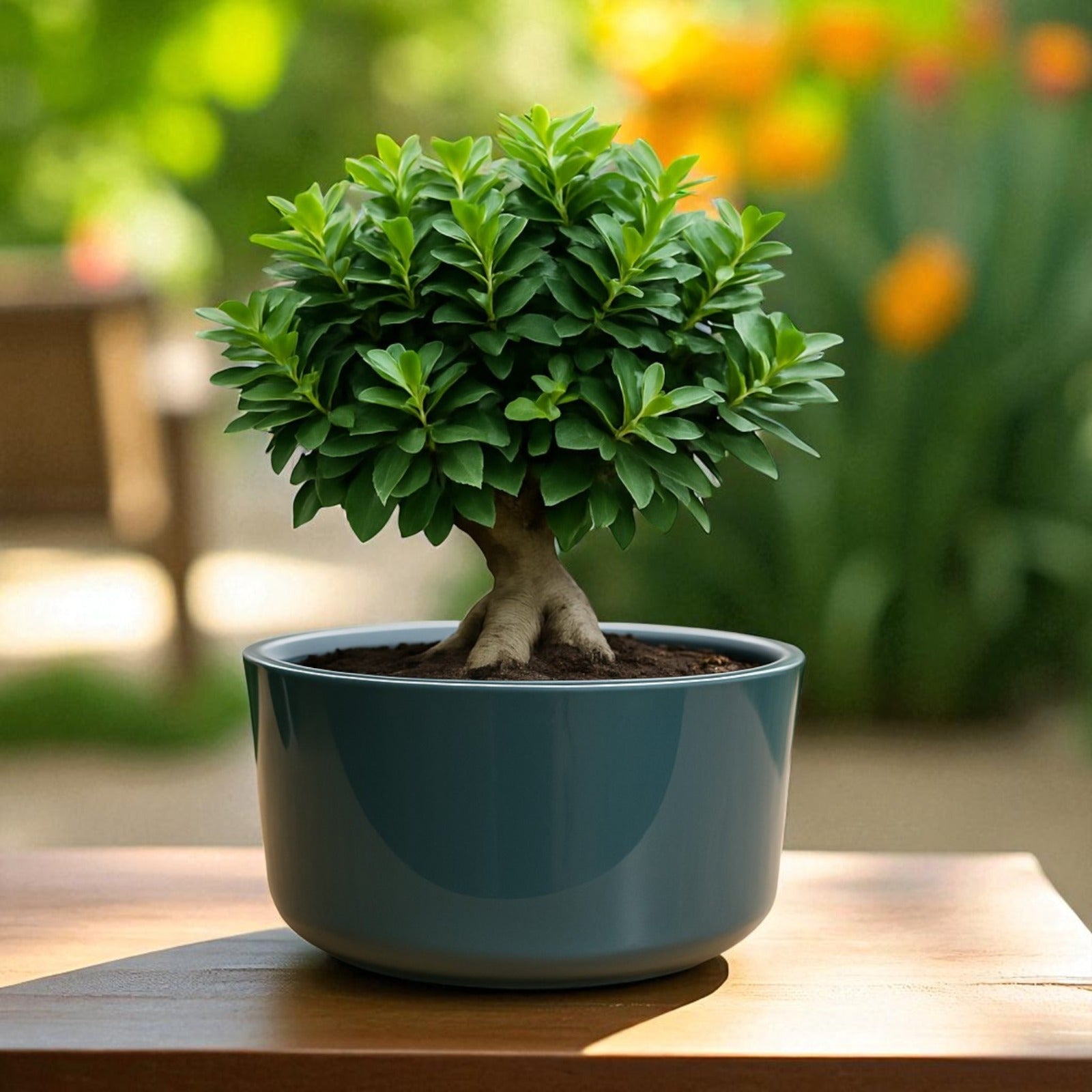 Big Circular Self-Watering Plant Container – Gray