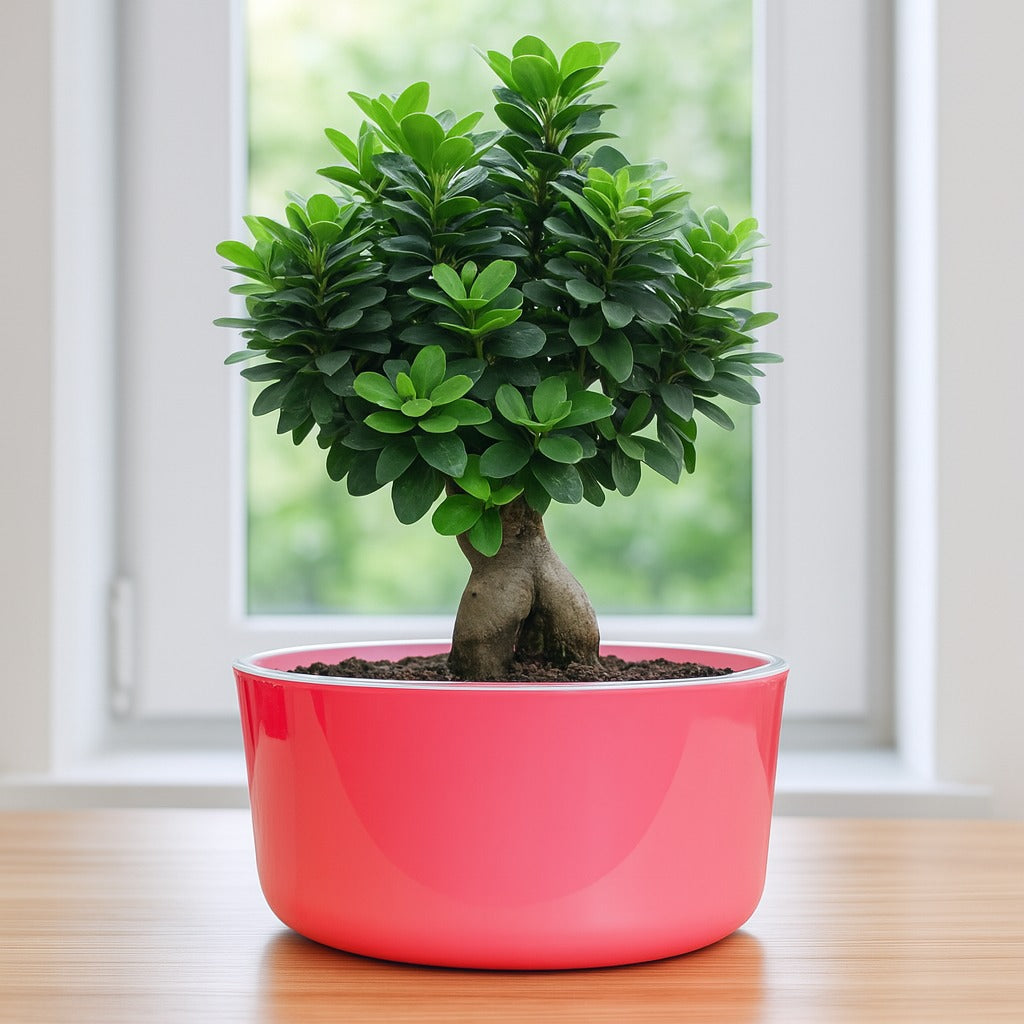 Big Circular Self-Watering Plant Container – Pink