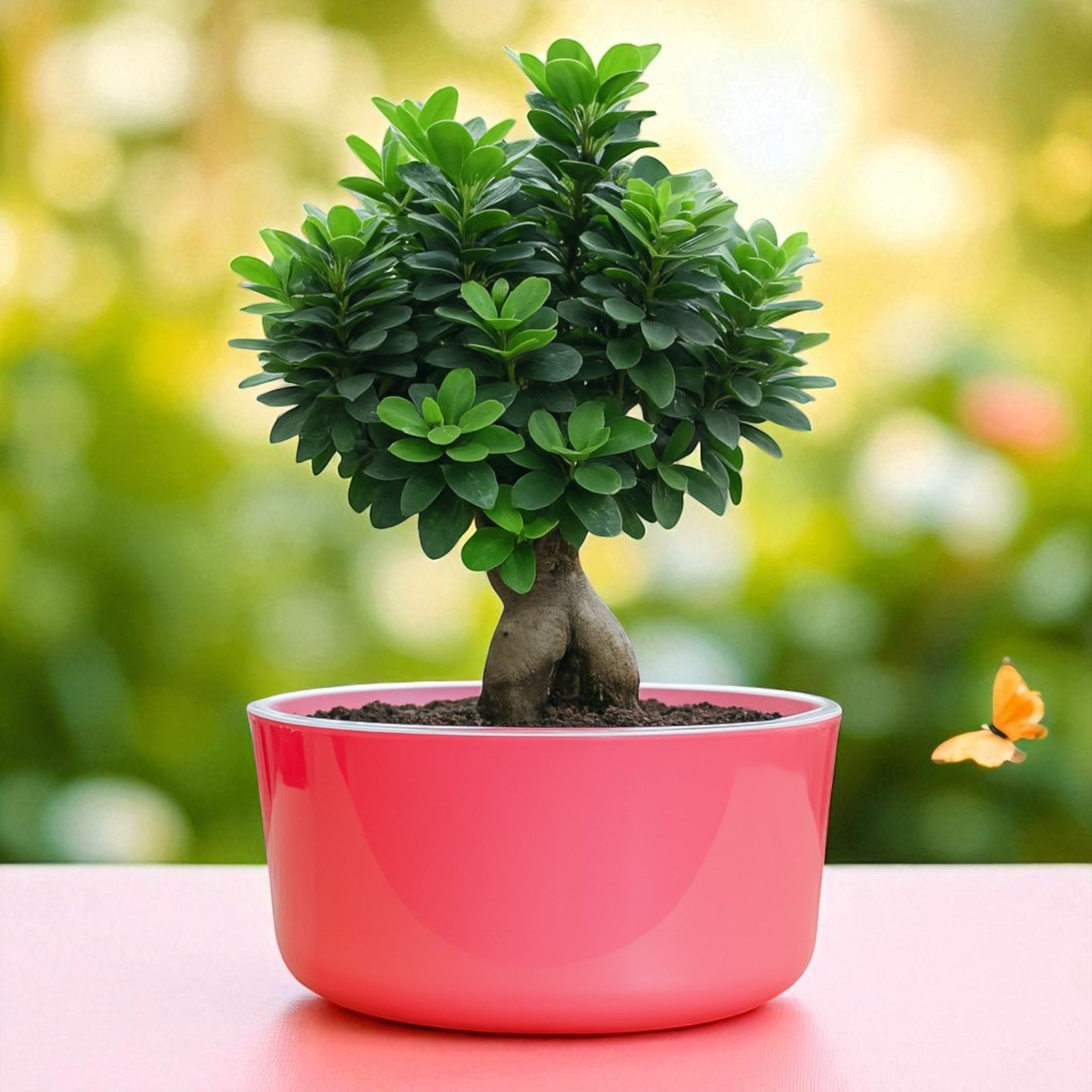 Big Circular Self-Watering Plant Container – Pink