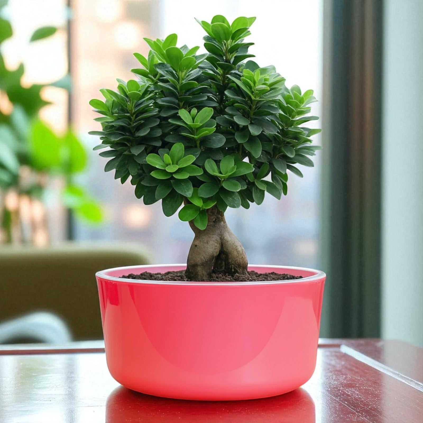 Big Circular Self-Watering Plant Container – Pink