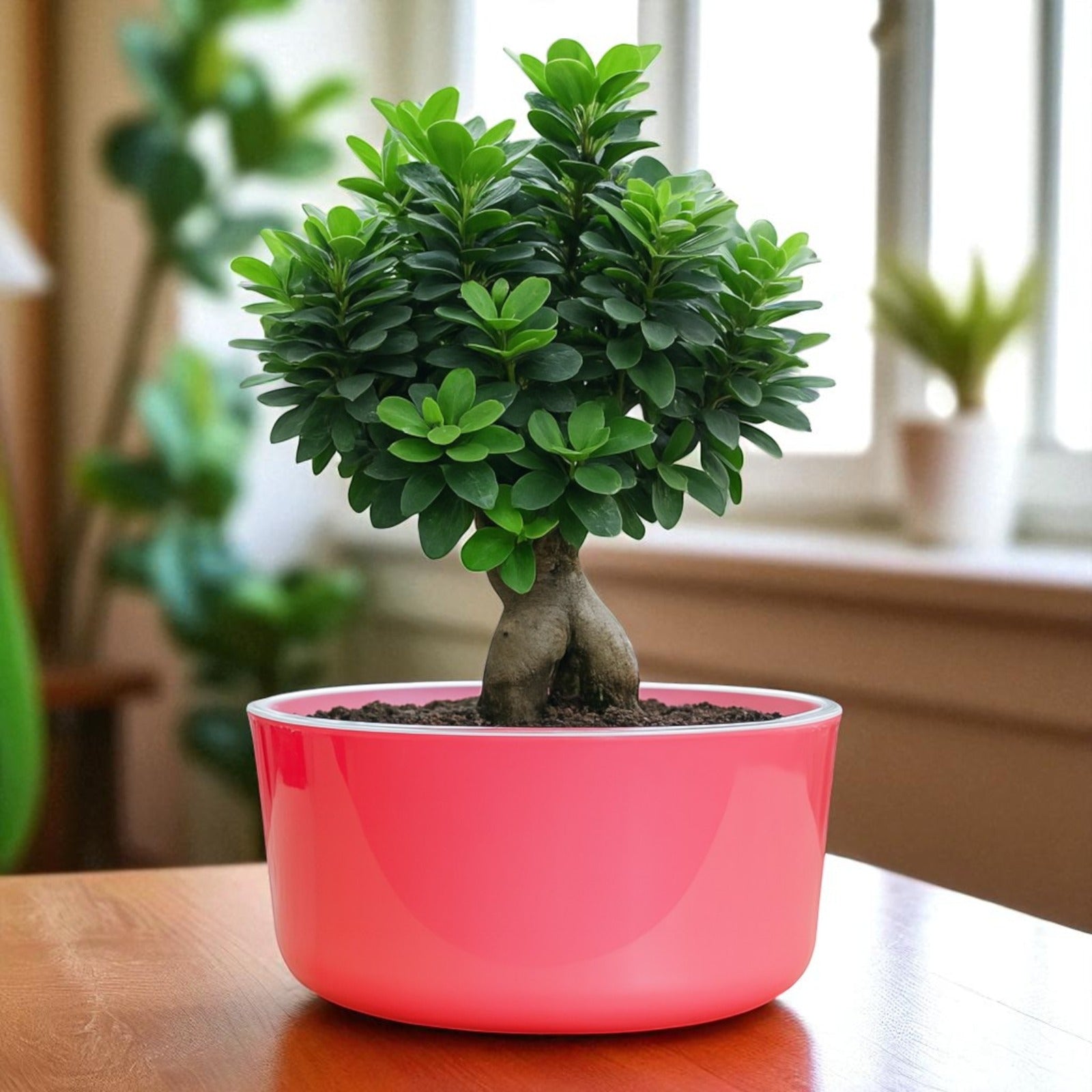 Big Circular Self-Watering Plant Container – Pink