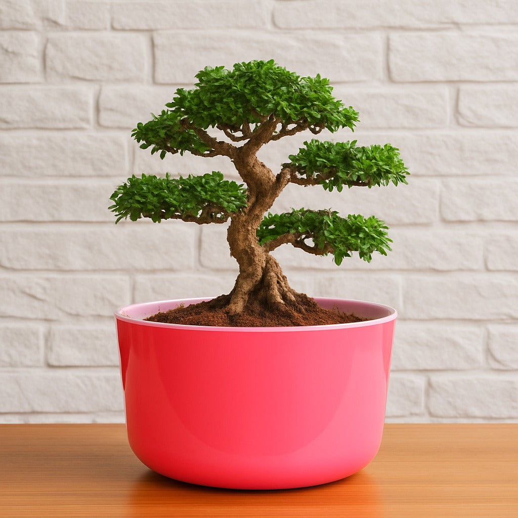 Big Circular Self-Watering Plant Container – Pink