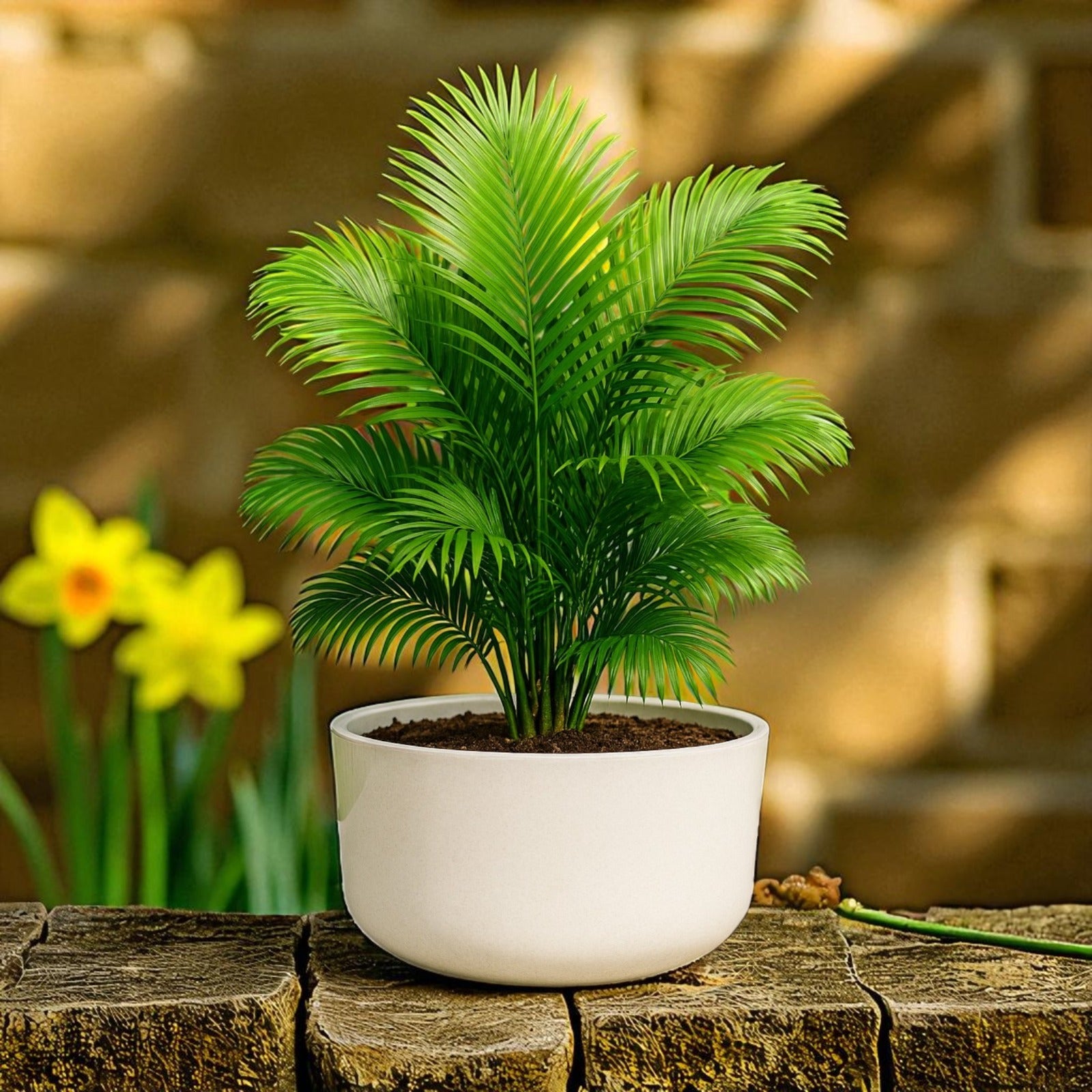 Big Circular Self-Watering Plant Container – White