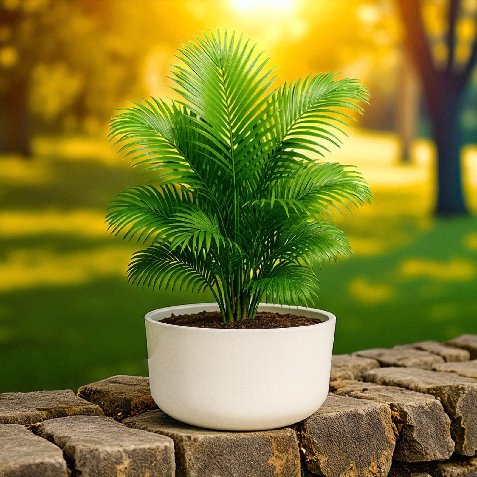 Big Circular Self-Watering Plant Container – White