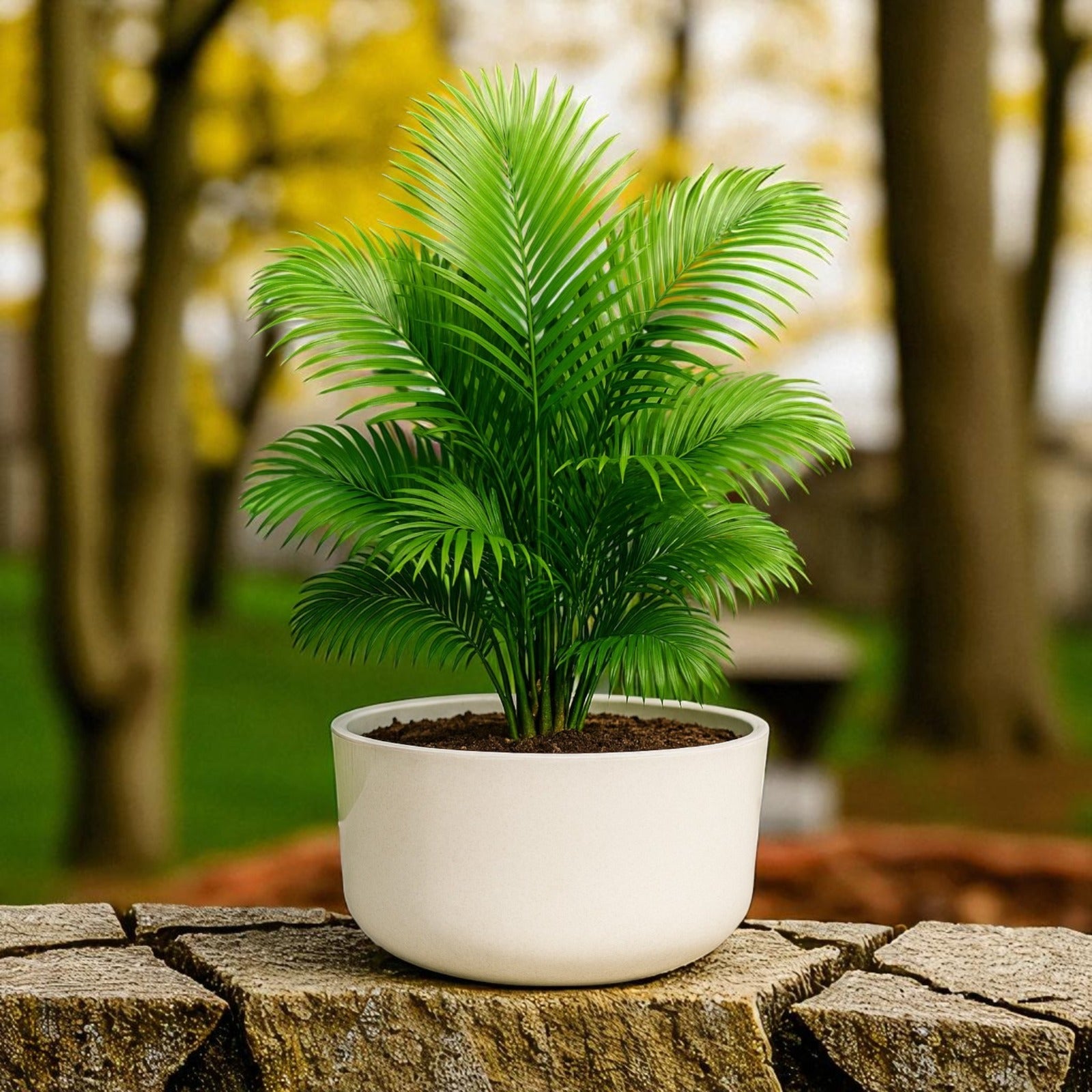 Big Circular Self-Watering Plant Container – White