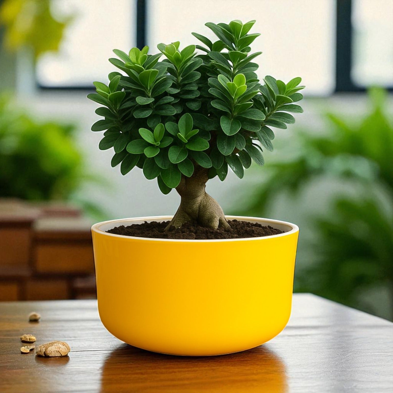 Big Circular Self-Watering Plant Container – Yellow