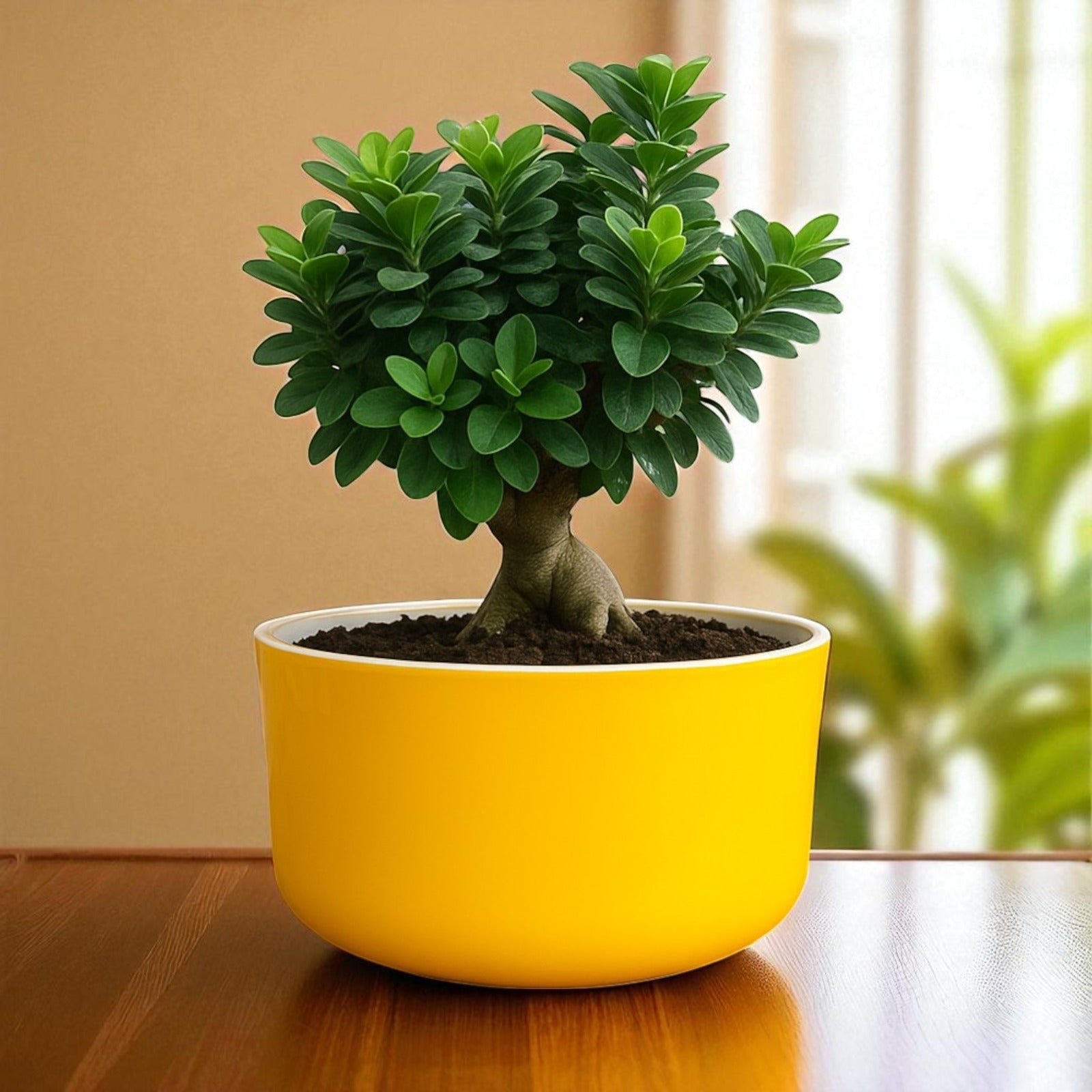 Big Circular Self-Watering Plant Container – Yellow