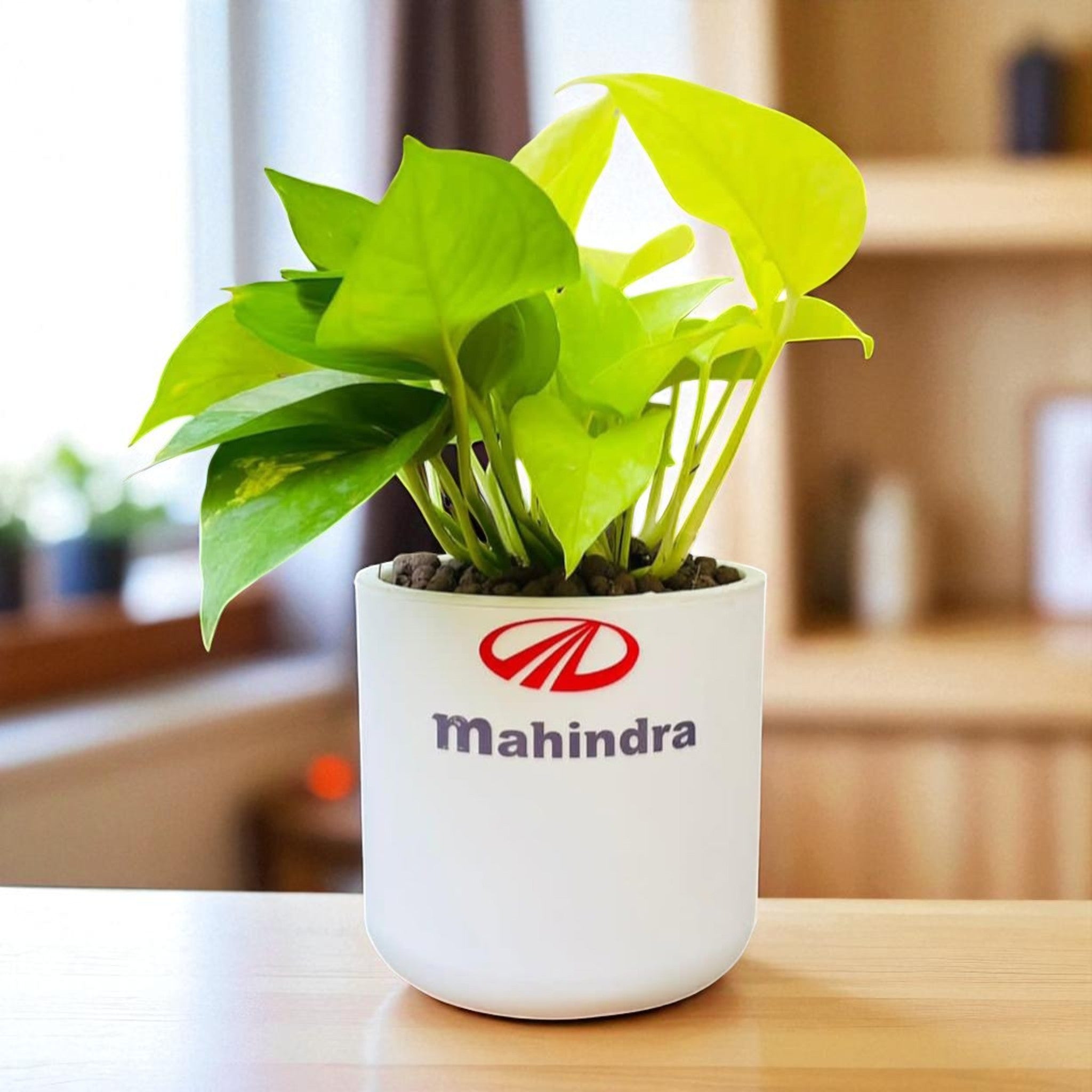 Personalized Round Pot with Money Plant – Eco-Friendly Corporate Gift (Min. 10 Units)