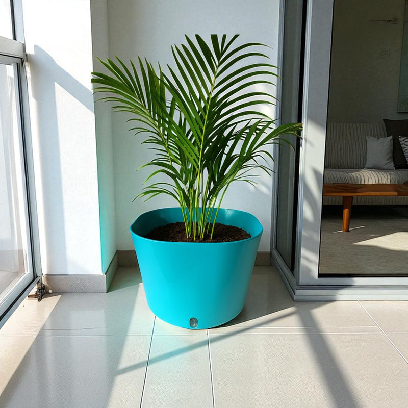 Big Cube Self-Watering Plant Container