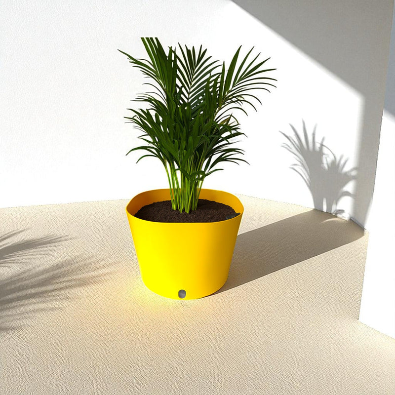 Big Cube Self-Watering Plant Container