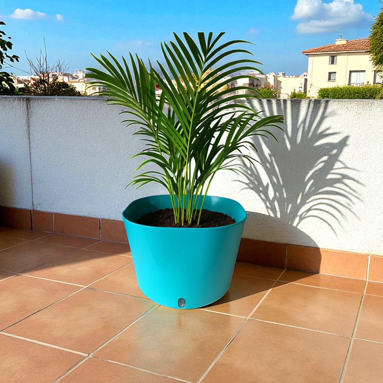 Big Cube Self-Watering Plant Container