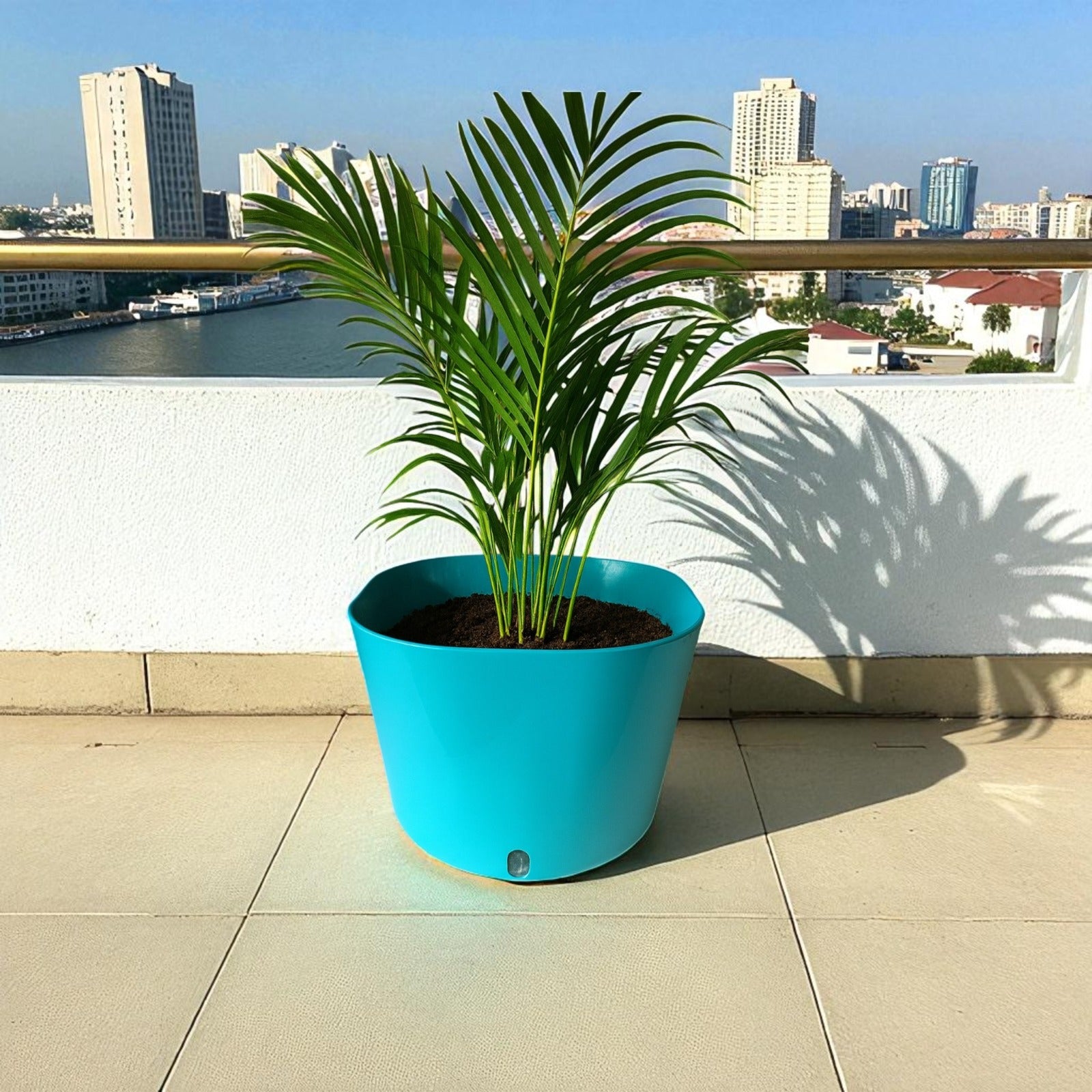 Big Cube Self-Watering Plant Container