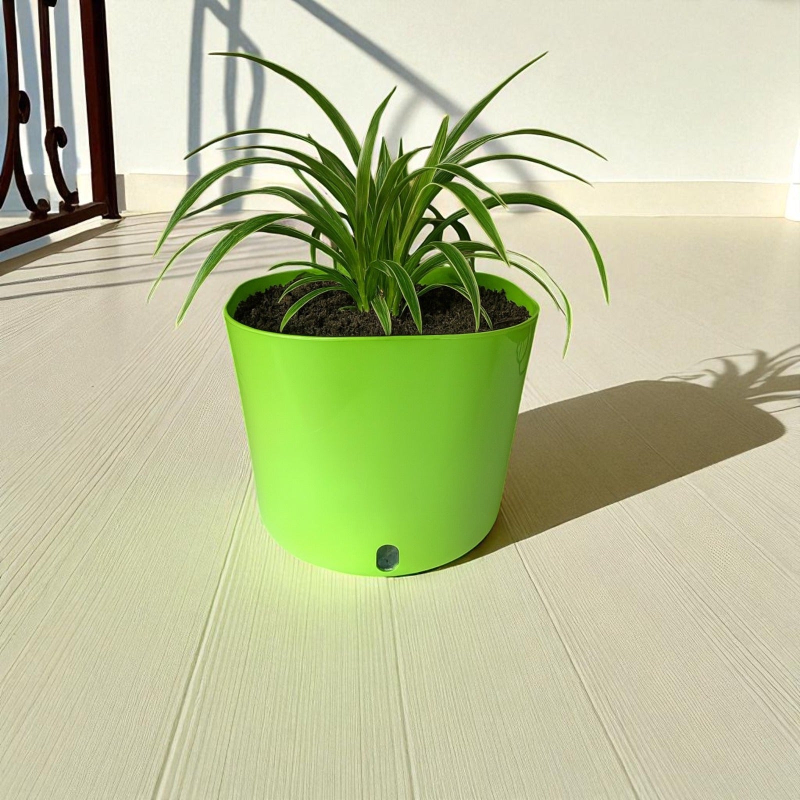 Big Cube Self-Watering Plant Container