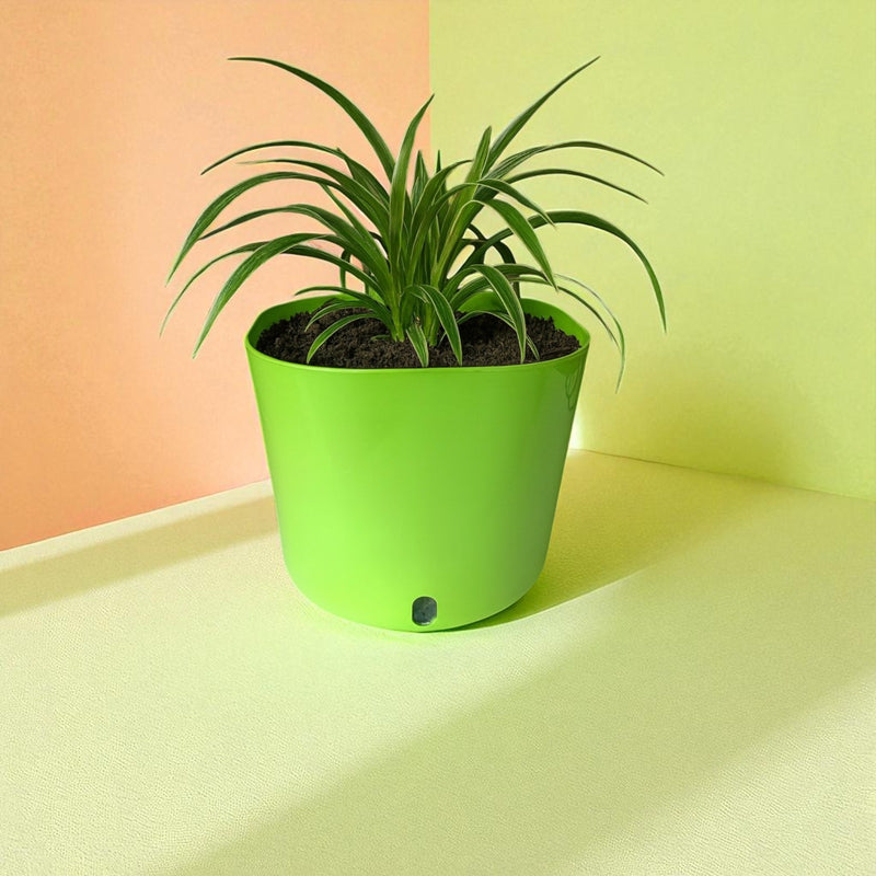 Big Cube Self-Watering Plant Container
