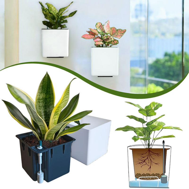 Elegant White Self-Watering Wall Hanging Square Planter