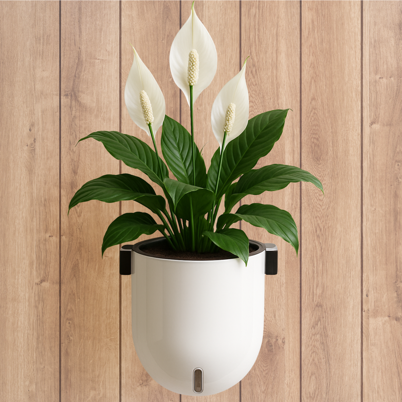 Elegant White Self-Watering Wall Hanging Sphere Planter